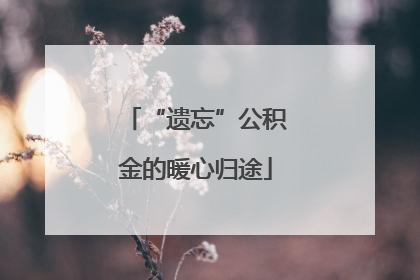 “遗忘”公积金的暖心归途