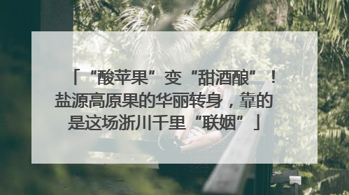 “酸苹果”变“甜酒酿”！盐源高原果的华丽转身，靠的是这场浙川千里“联姻”