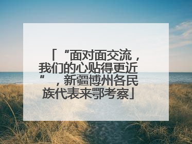 “面对面交流，我们的心贴得更近”，新疆博州各民族代表来鄂考察