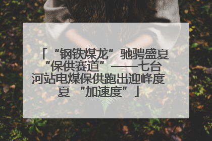 “钢铁煤龙”驰骋盛夏 “保供赛道”——七台河站电煤保供跑出迎峰度夏 “加速度”