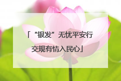 “银发”无忧平安行 交规有情入民心