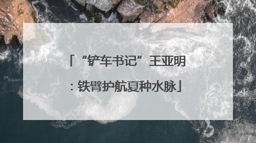 “铲车书记”王亚明：铁臂护航夏种水脉