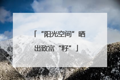 “阳光空间”晒出致富“籽”