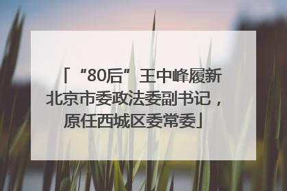 “80后”王中峰履新北京市委政法委副书记，原任西城区委常委