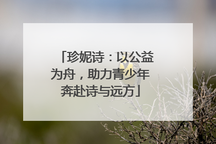 珍妮诗：以公益为舟，助力青少年奔赴诗与远方