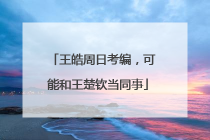 王皓周日考编，可能和王楚钦当同事