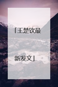 王楚钦最新发文