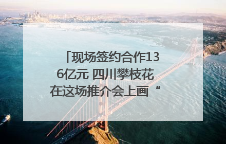 现场签约合作136亿元 四川攀枝花在这场推介会上画“图谱”列“清单”