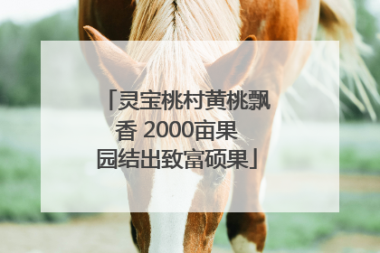 灵宝桃村黄桃飘香 2000亩果园结出致富硕果