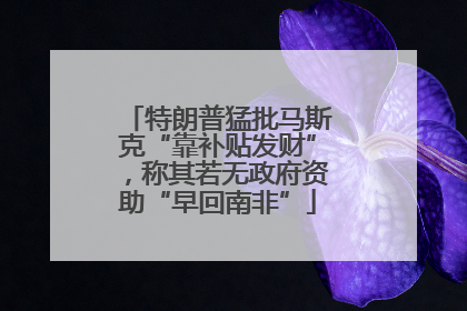 特朗普猛批马斯克“靠补贴发财”，称其若无政府资助“早回南非”