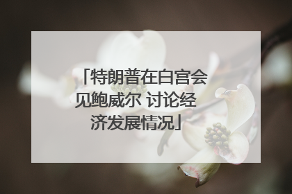特朗普在白宫会见鲍威尔 讨论经济发展情况