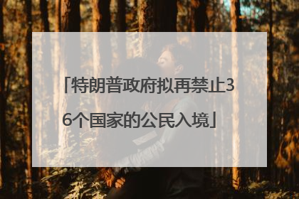 特朗普政府拟再禁止36个国家的公民入境