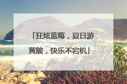 狂炫蓝莓，夏日游黄陂，快乐不宕机