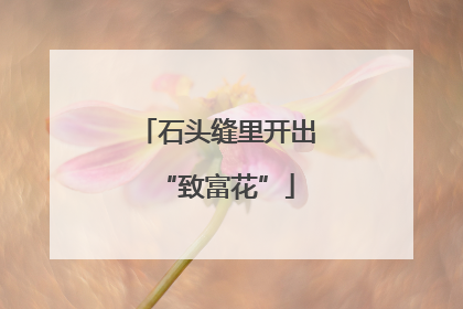石头缝里开出“致富花”