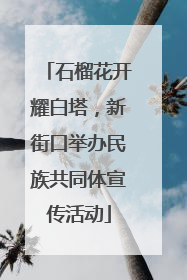 石榴花开耀白塔，新街口举办民族共同体宣传活动