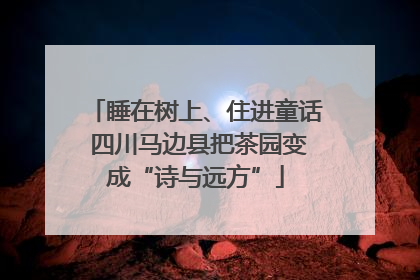 睡在树上、住进童话 四川马边县把茶园变成“诗与远方”
