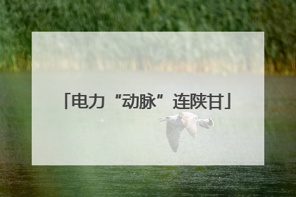 电力“动脉”连陕甘