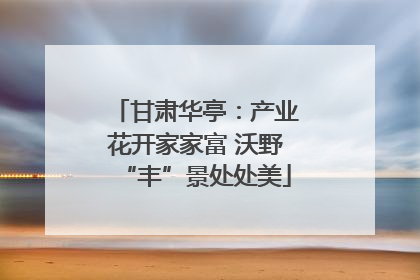 甘肃华亭：产业花开家家富 沃野“丰”景处处美