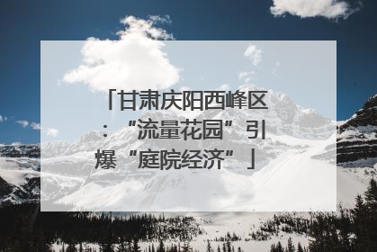 甘肃庆阳西峰区：“流量花园”引爆“庭院经济”