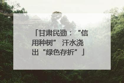 甘肃民勤：“信用种树” 汗水浇出“绿色存折”