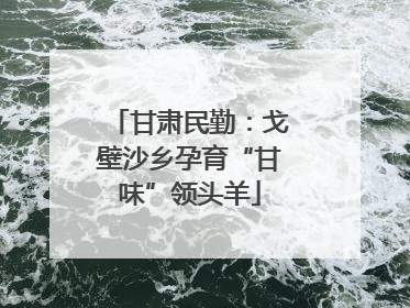 甘肃民勤：戈壁沙乡孕育“甘味”领头羊