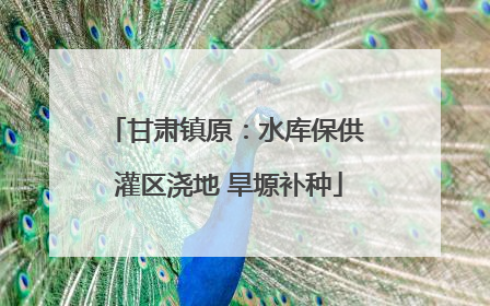 甘肃镇原：水库保供 灌区浇地 旱塬补种
