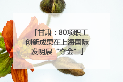 甘肃：80项职工创新成果在上海国际发明展“夺金”