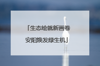 生态绘就新画卷 安阳焕发绿生机