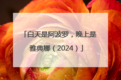 白天是阿波罗，晚上是雅典娜（2024）