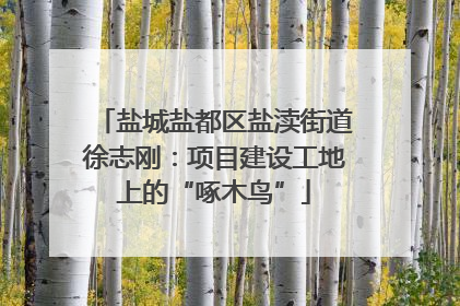 盐城盐都区盐渎街道徐志刚：项目建设工地上的“啄木鸟”