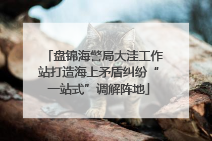 盘锦海警局大洼工作站打造海上矛盾纠纷“一站式”调解阵地