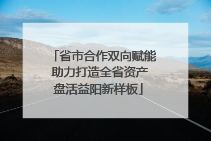 省市合作双向赋能 助力打造全省资产盘活益阳新样板