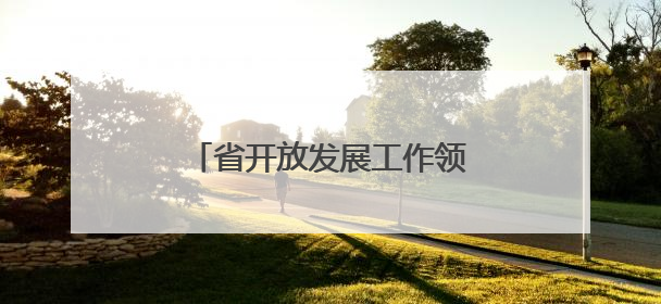 省开放发展工作领导小组会议召开
