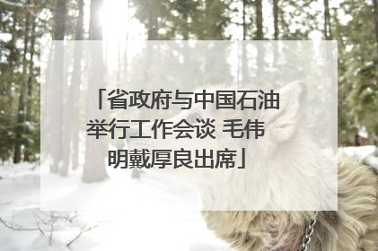 省政府与中国石油举行工作会谈 毛伟明戴厚良出席