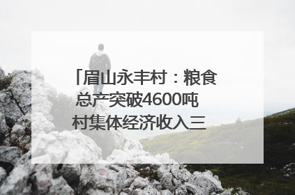 眉山永丰村：粮食总产突破4600吨 村集体经济收入三年倍增｜牵挂的村