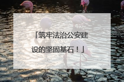 筑牢法治公安建设的坚固基石！