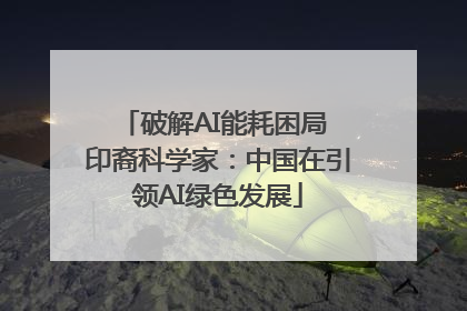 破解AI能耗困局 印裔科学家：中国在引领AI绿色发展
