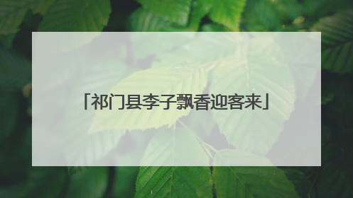 祁门县李子飘香迎客来