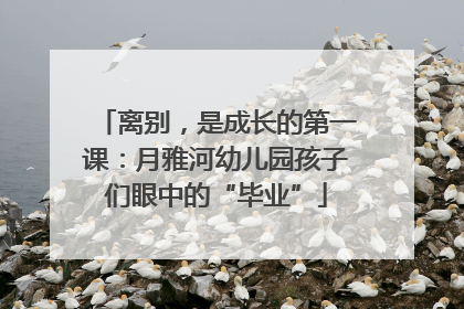 离别，是成长的第一课：月雅河幼儿园孩子们眼中的“毕业”