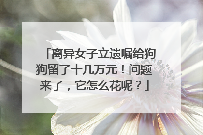 离异女子立遗嘱给狗狗留了十几万元！问题来了，它怎么花呢？