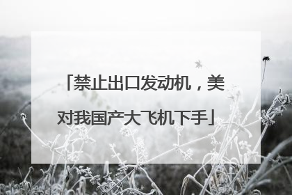 禁止出口发动机，美对我国产大飞机下手