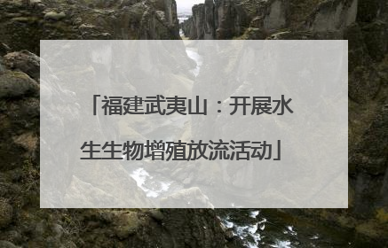 福建武夷山：开展水生生物增殖放流活动