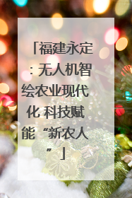 福建永定：无人机智绘农业现代化 科技赋能“新农人”