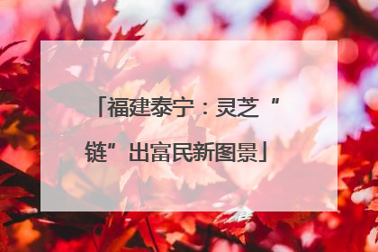 福建泰宁：灵芝“链”出富民新图景
