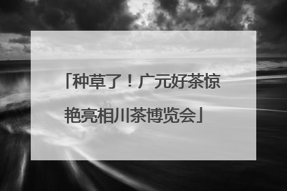 种草了！广元好茶惊艳亮相川茶博览会