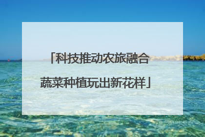 科技推动农旅融合 蔬菜种植玩出新花样