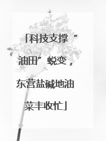 科技支撑“油田”蜕变，东营盐碱地油菜丰收忙
