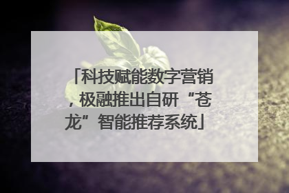 科技赋能数字营销，极融推出自研“苍龙”智能推荐系统