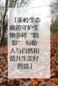 秦岭生态廊道守护生物多样“精彩” 勾勒人与自然和谐共生美好图景