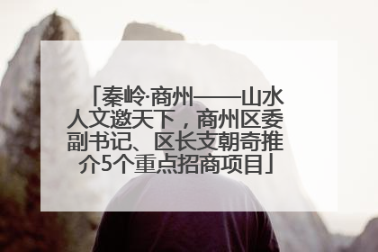 秦岭·商州——山水人文邀天下，商州区委副书记、区长支朝奇推介5个重点招商项目